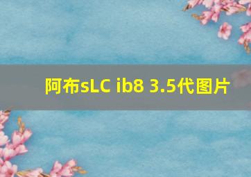 阿布sLC ib8 3.5代图片